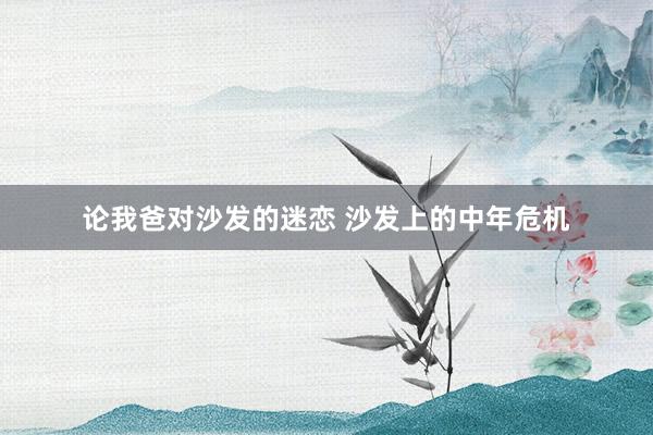 论我爸对沙发的迷恋 沙发上的中年危机