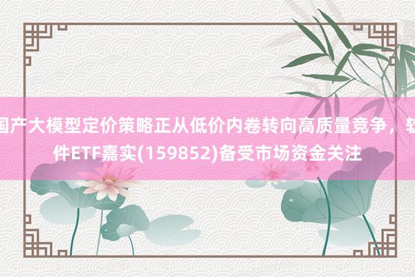 国产大模型定价策略正从低价内卷转向高质量竞争,软件ETF嘉实(159852)备受市场资金关注