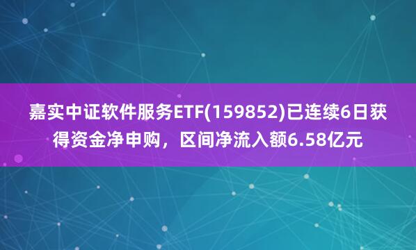 嘉实中证软件服务ETF(159852)已连续6日获得资金净申购，区间净流入额6.58亿元