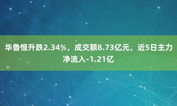 华鲁恒升跌2.34%，成交额8.73亿元，近5日主力净流入-1.21亿