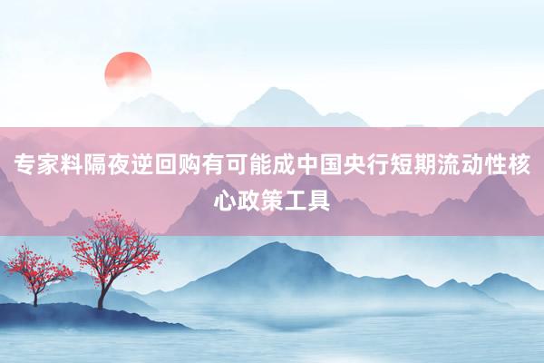 专家料隔夜逆回购有可能成中国央行短期流动性核心政策工具