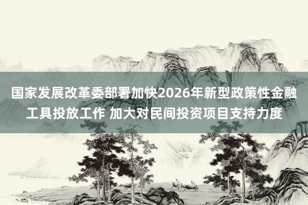 国家发展改革委部署加快2026年新型政策性金融工具投放工作 加大对民间投资项目支持力度