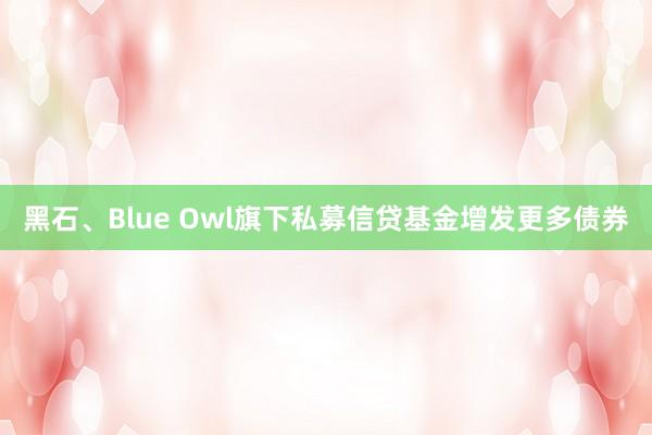 黑石、Blue Owl旗下私募信贷基金增发更多债券
