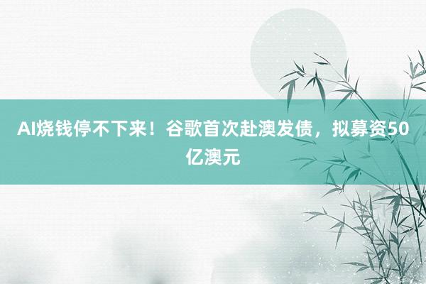 AI烧钱停不下来！谷歌首次赴澳发债，拟募资50亿澳元