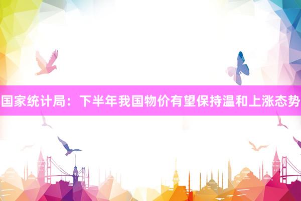 国家统计局：下半年我国物价有望保持温和上涨态势