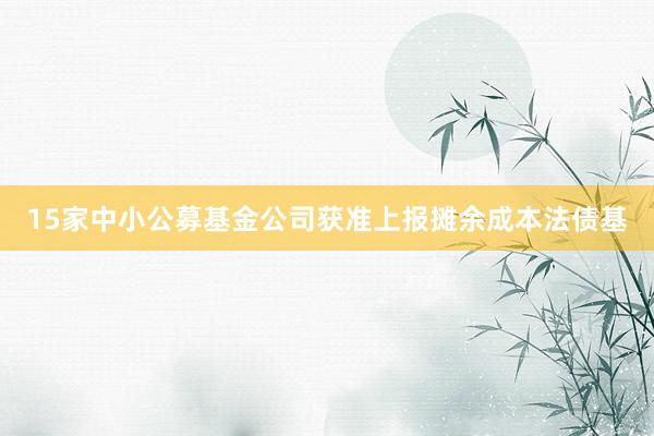 15家中小公募基金公司获准上报摊余成本法债基