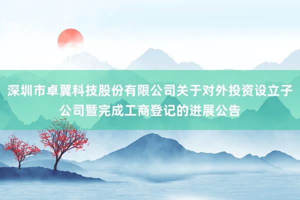 深圳市卓翼科技股份有限公司关于对外投资设立子公司暨完成工商登记的进展公告