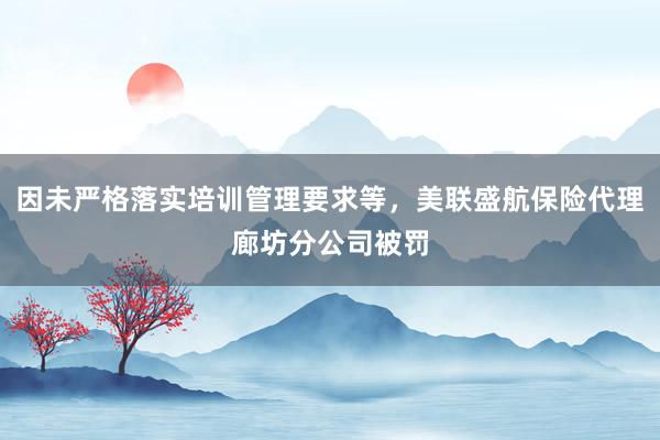 因未严格落实培训管理要求等，美联盛航保险代理廊坊分公司被罚