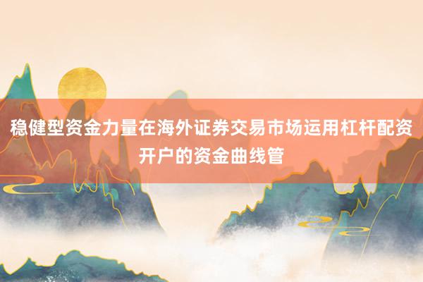 稳健型资金力量在海外证券交易市场运用杠杆配资开户的资金曲线管