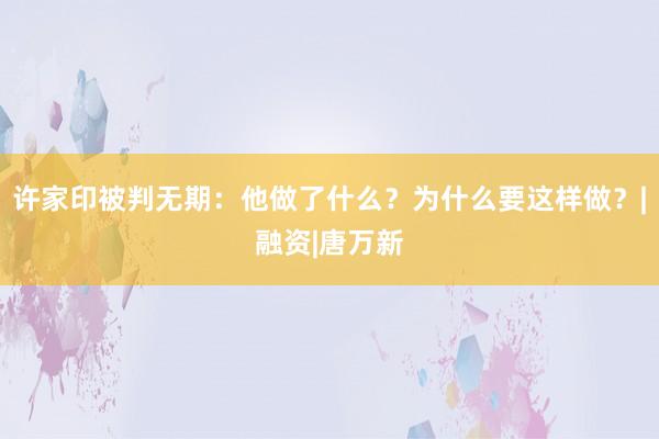 许家印被判无期：他做了什么？为什么要这样做？|融资|唐万新