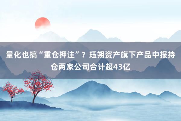 量化也搞“重仓押注”？珏朔资产旗下产品中报持仓两家公司合计超43亿