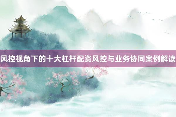 风控视角下的十大杠杆配资风控与业务协同案例解读