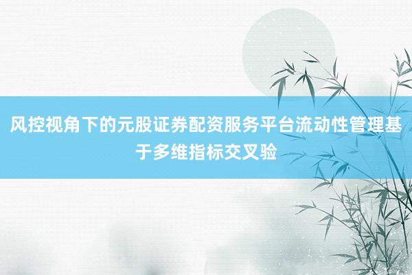 风控视角下的元股证券配资服务平台流动性管理基于多维指标交叉验