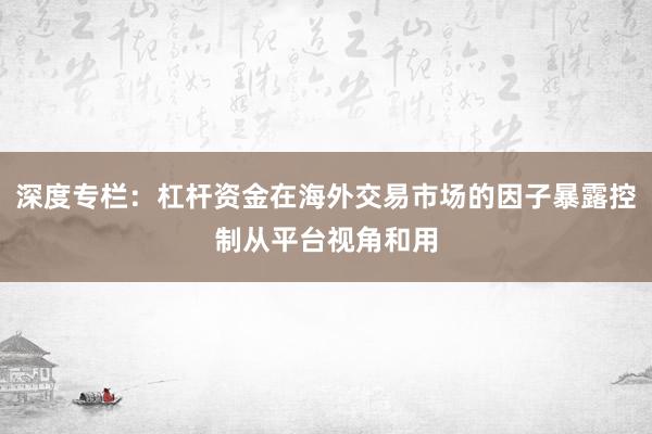 深度专栏：杠杆资金在海外交易市场的因子暴露控制从平台视角和用
