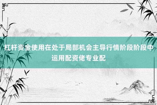 杠杆资金使用在处于局部机会主导行情阶段阶段中运用配资佬专业配