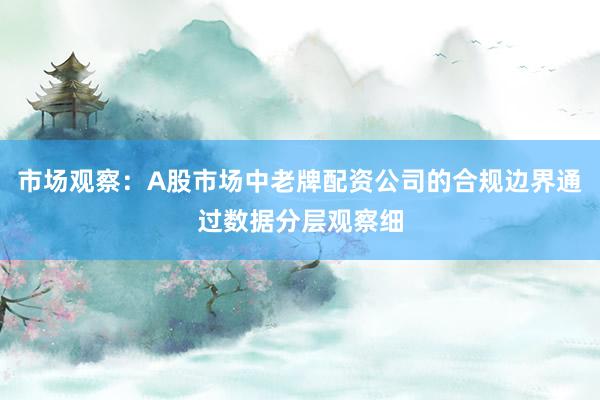 市场观察：A股市场中老牌配资公司的合规边界通过数据分层观察细