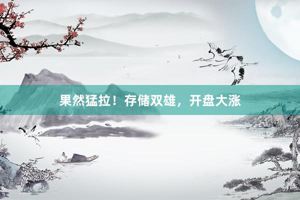果然猛拉！存储双雄，开盘大涨