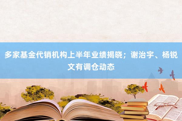 多家基金代销机构上半年业绩揭晓；谢治宇、杨锐文有调仓动态