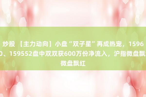 炒股 【主力动向】小盘“双子星”再成热宠，159680、159552盘中双双获600万份净流入，沪指微盘飘红