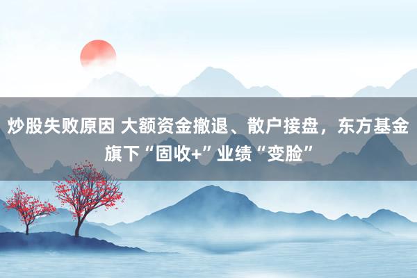 炒股失败原因 大额资金撤退、散户接盘，东方基金旗下“固收+”业绩“变脸”