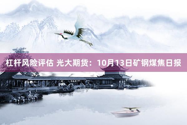 杠杆风险评估 光大期货:10月13日矿钢煤焦日报