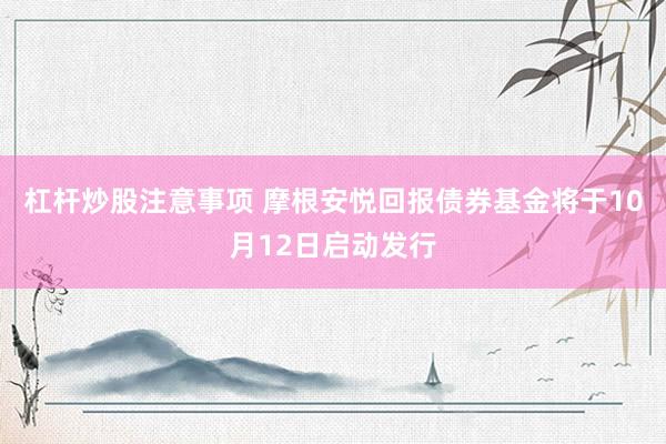 杠杆炒股注意事项 摩根安悦回报债券基金将于10月12日启动发行