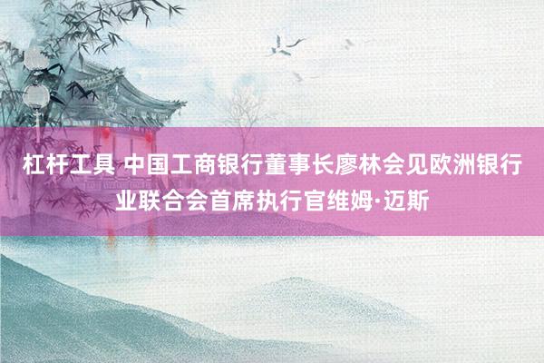 杠杆工具 中国工商银行董事长廖林会见欧洲银行业联合会首席执行官维姆·迈斯