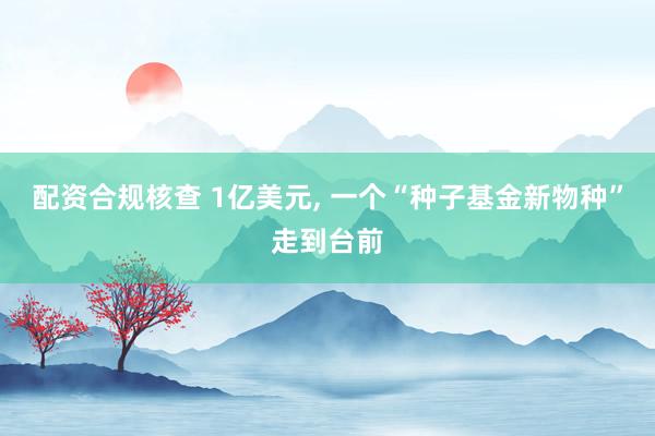 配资合规核查 1亿美元, 一个“种子基金新物种”走到台前